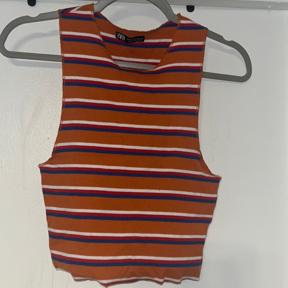 Zara Striped Crop Top